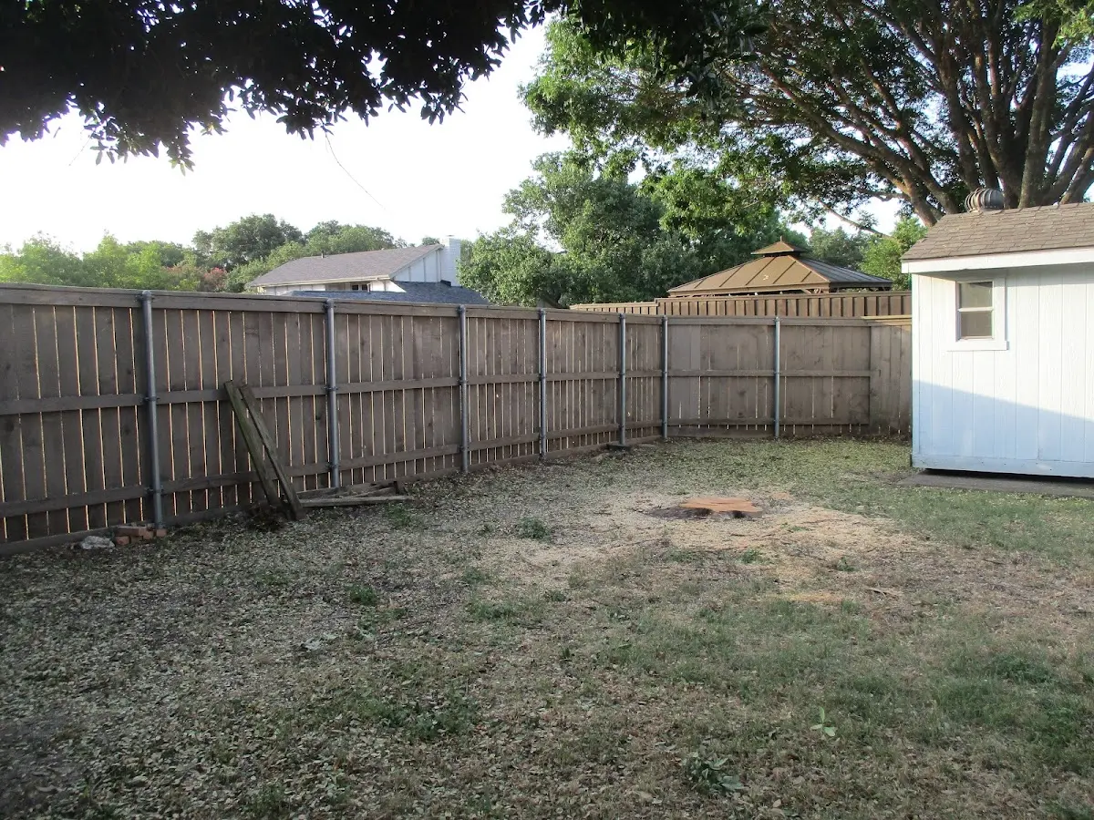Cleared yard after professional tree removal in Hastings